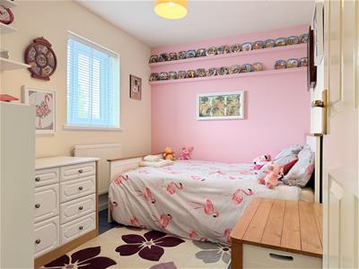 Picture 17